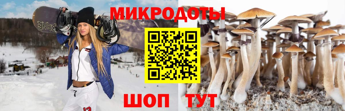 купить наркоту  Вход с VPN  Менделеевск  Галлюциногенные грибы мицелий  Псилоцибиновые грибы GOLDEN TEACHER 