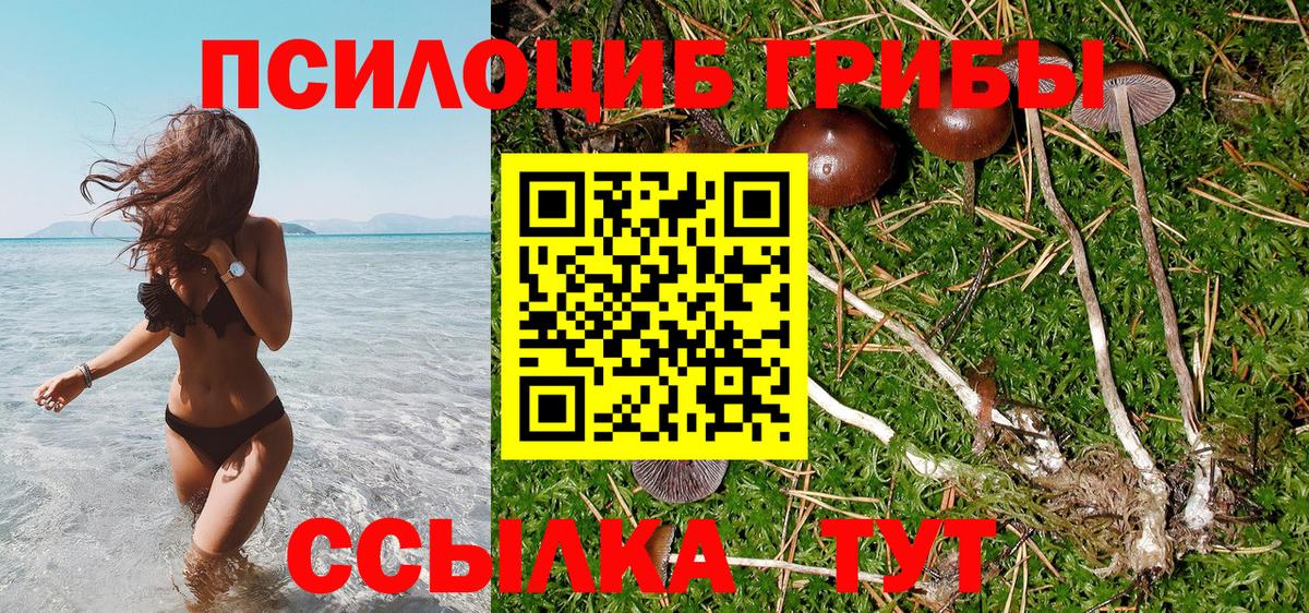Псилоцибиновые грибы ЛСД Менделеевск